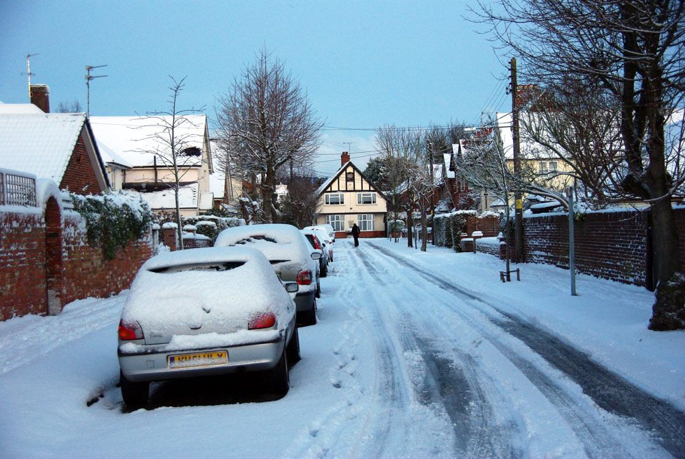 Claremont Gardens 18 December 2009